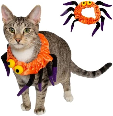 Kostim s ovratnikom za paukove mačke u MBG-u odgovara svima-savršen za zabave, fotošope, poklone za ljubitelje mačaka