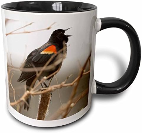 3Drose Mug_70622_4 Blackbird s crvenim krilima, Stanley Park, British Columbia-CN02 PCL0129-Paul Colangelo Crna šalica s dva tona,