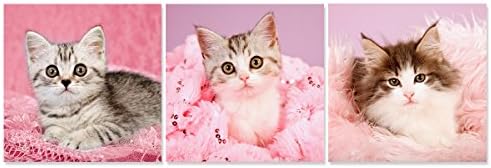 Pozdrav ljupka maca moderna platna umjetnički tisak slatke mačiće mačića ružičasta mačka životinja slika na platnu 3 ploče gclee umjetničko