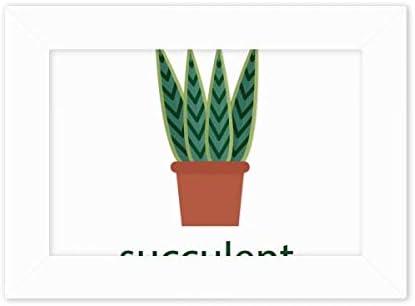 Dithinker Cactus lončana biljka sukulents zelena fotografija ugradnje okvira slika art slikanje radna površina 5x7 inč
