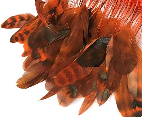 Mjesečevo pero / 1 dvorište - veleprodaja narančastog prugastog repa činčile koke s pernatim oblogama Pijetlov rep obrubljen trepavicama