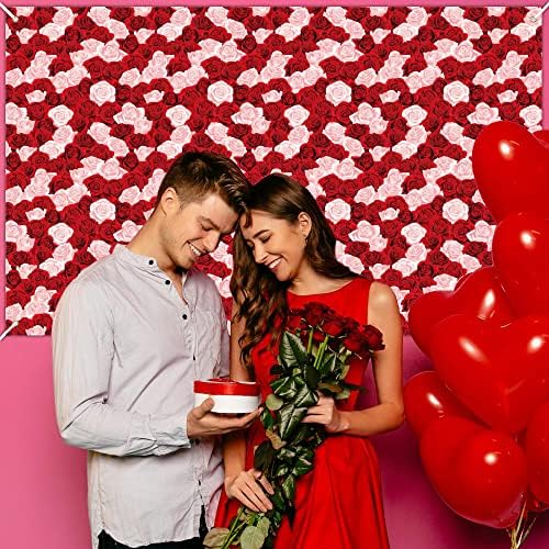 Pozadina crvene ruže za fotografiranje, crveno i ružičasto cvijeće ruže cvijeće pozadina zida banner romantični cvjetni Valentinovo