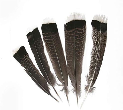 25-30 cm / 10-12 inča prirodno orlovsko perje, perje puretine, fazana, orla-Ptice za izradu nakita, karnevalsko perje-30343